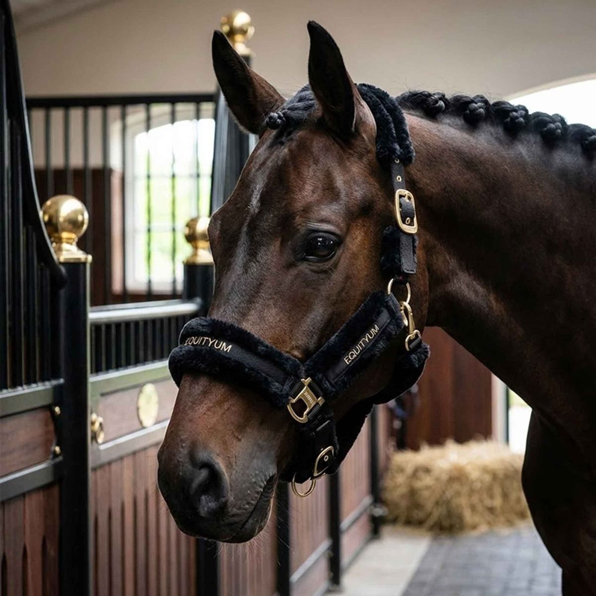 Cavezza Equityum Con Pelo Soft Elysia, Colore: Nero, Taglie: Pony