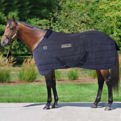 Coperta da Box Equityum Force 350g