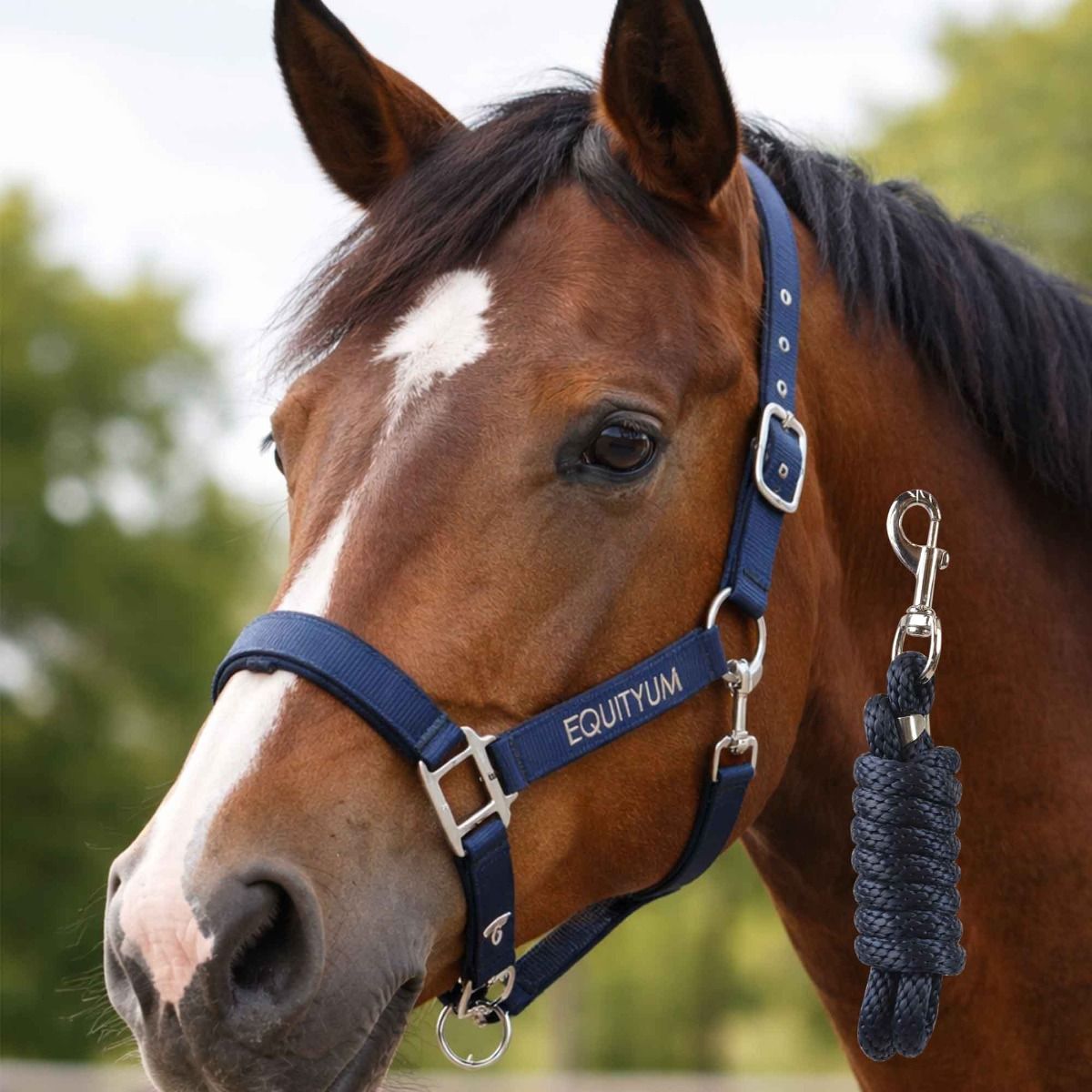 Cavezza e Longhina Equityum Beryl Light, Colore: Blu, Taglie: Pony
