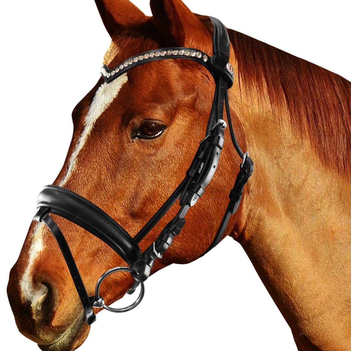 Briglia Equityum SuperSoft Sheffield