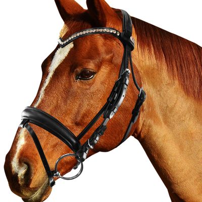 Briglia Equityum SuperSoft Sheffield