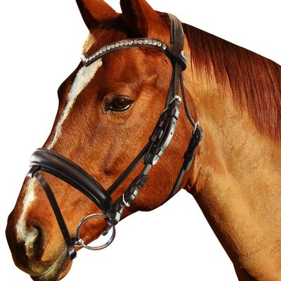 Briglia Equityum SuperSoft Sheffield
