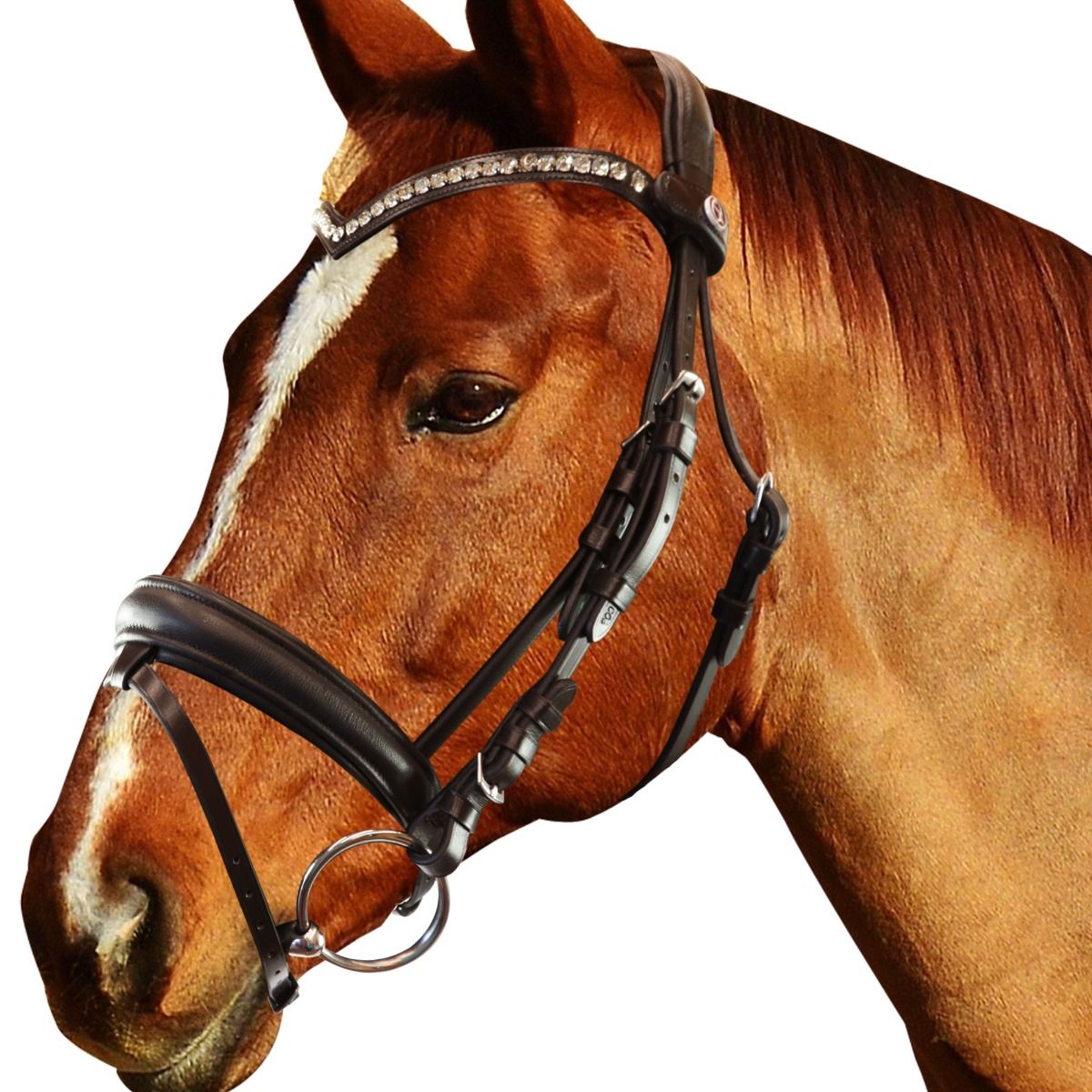 Briglia Equityum SuperSoft Sheffield