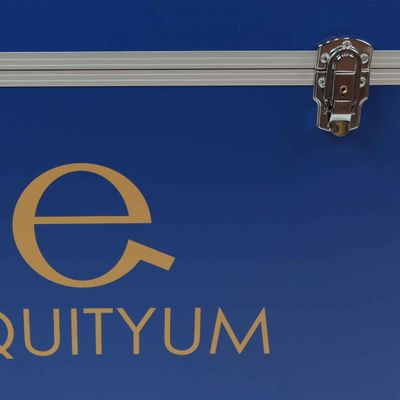 Baule Equityum Con Rotelle e Maniglia Kendrik