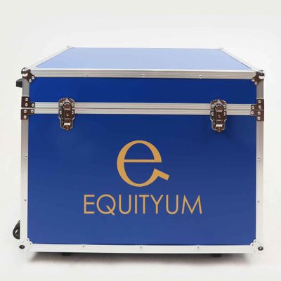 Baule Equityum Con Rotelle e Maniglia Kendrik