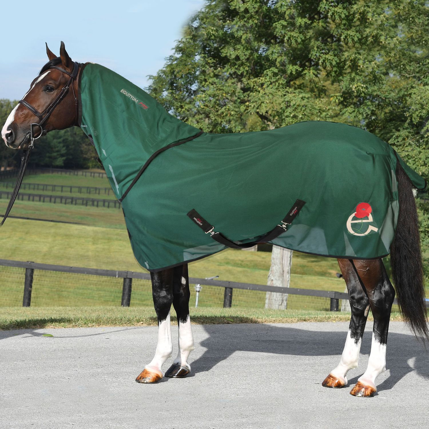 Coperta Antimosche Con Collo Rete Equityum Poppy, Colore: Verde, Taglie: 128 cm
