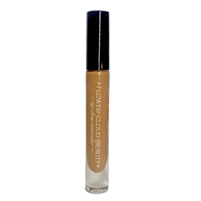 up-close concealer - 4W