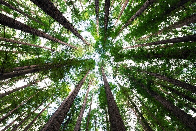 how we connect our business goals to environmentalism