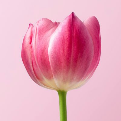 caring for sensitive skin