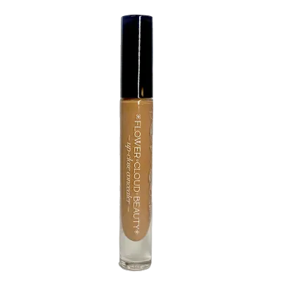 up-close concealer - 4W