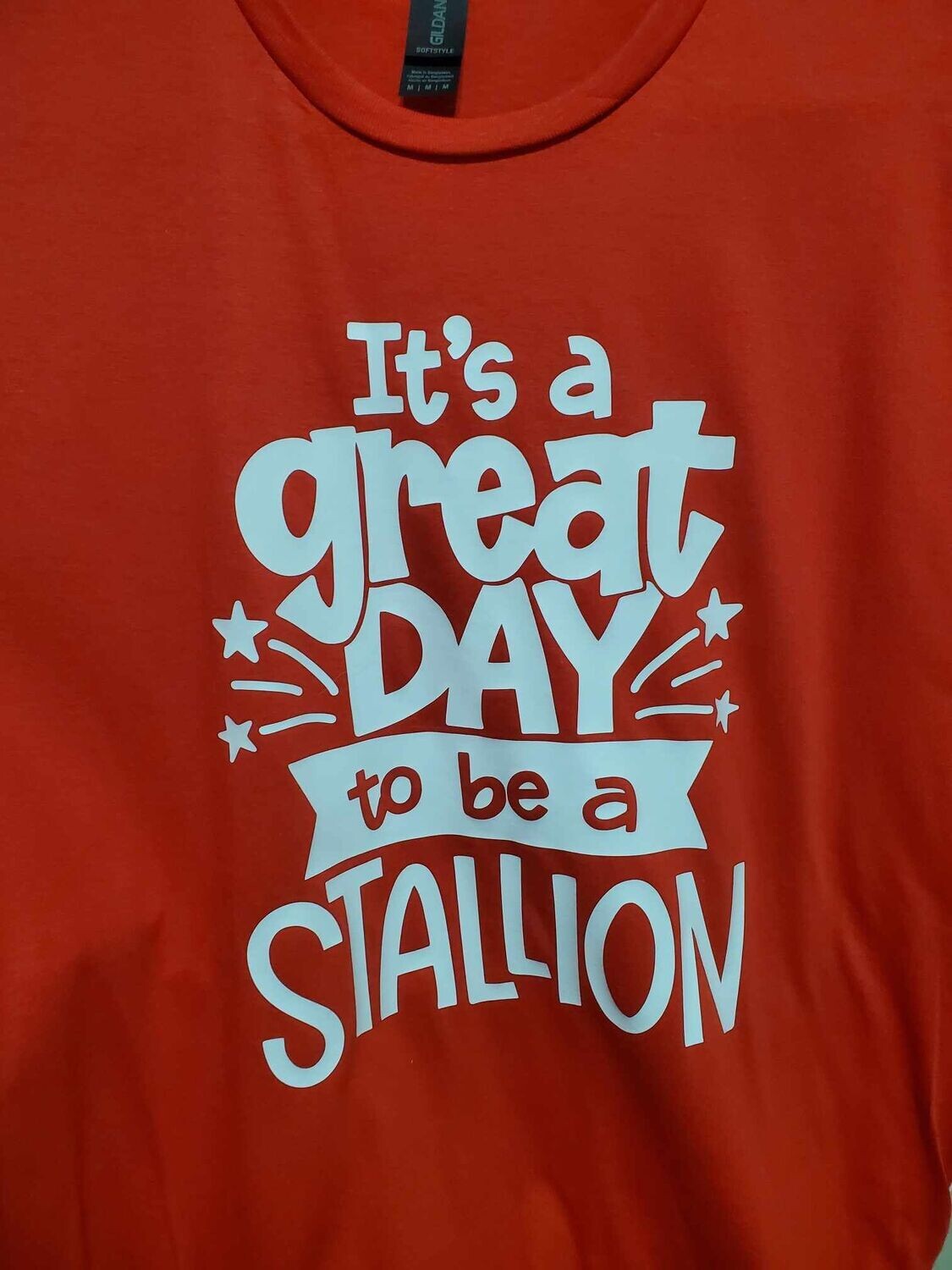 Its a great day to be a Stallion T shirt Its a great day to be a Stallion T shirt