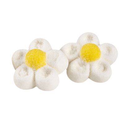 MARSHMALLOW FLORES BRANCAS