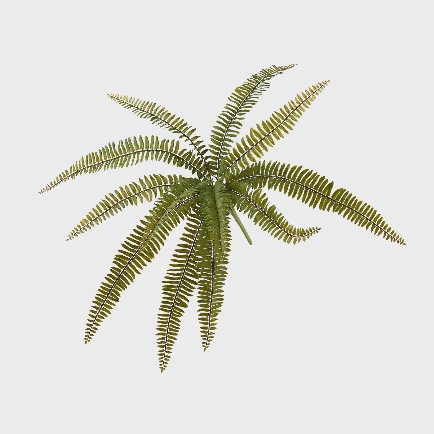 Fern 20.5L&quot; Multi Leaf Bush Stem