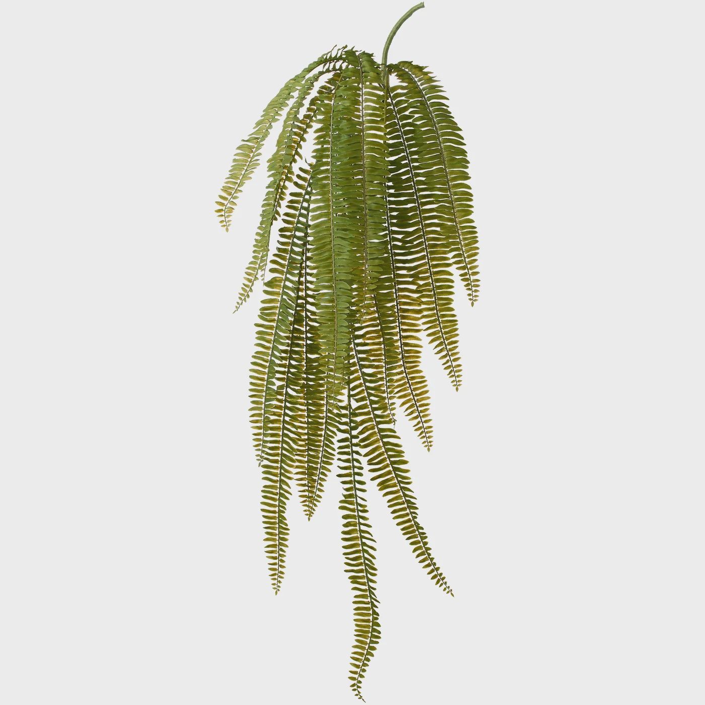 Fern 40L&quot; Multi Leaf Spray Stem