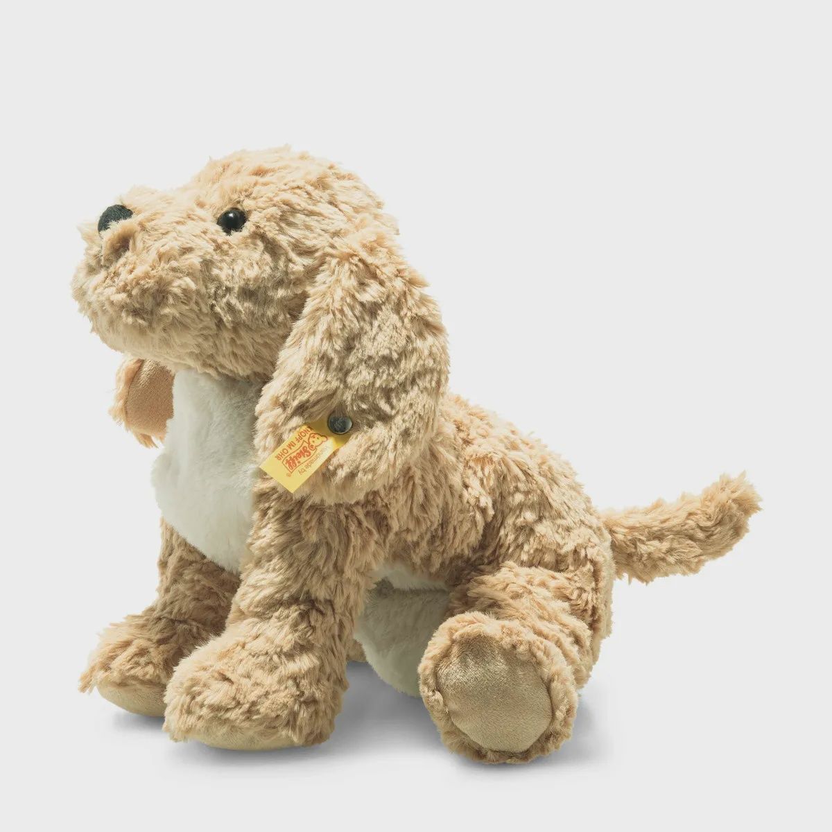 Berno Goldendoodle Beige