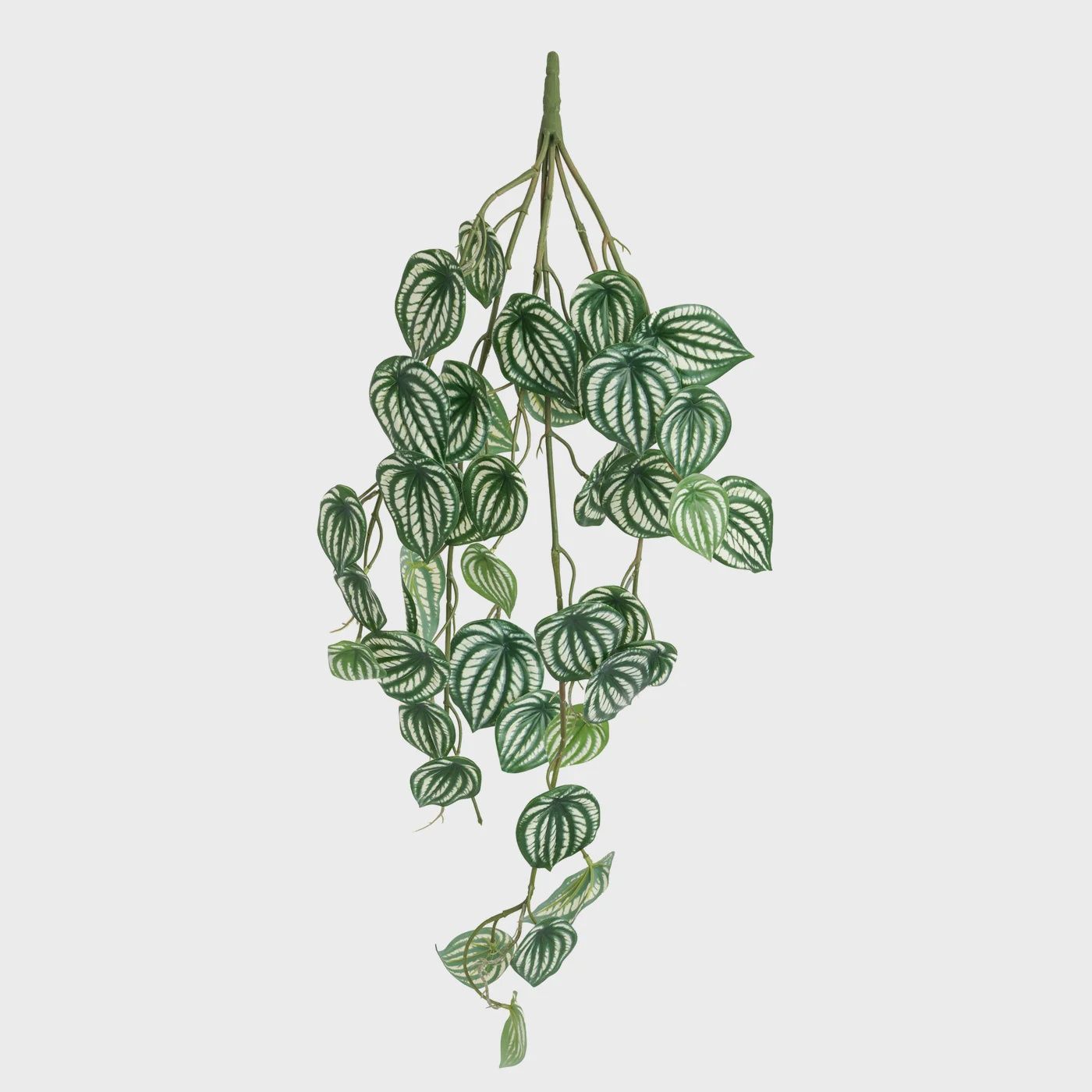 Variegated 31.5L Faux Vine