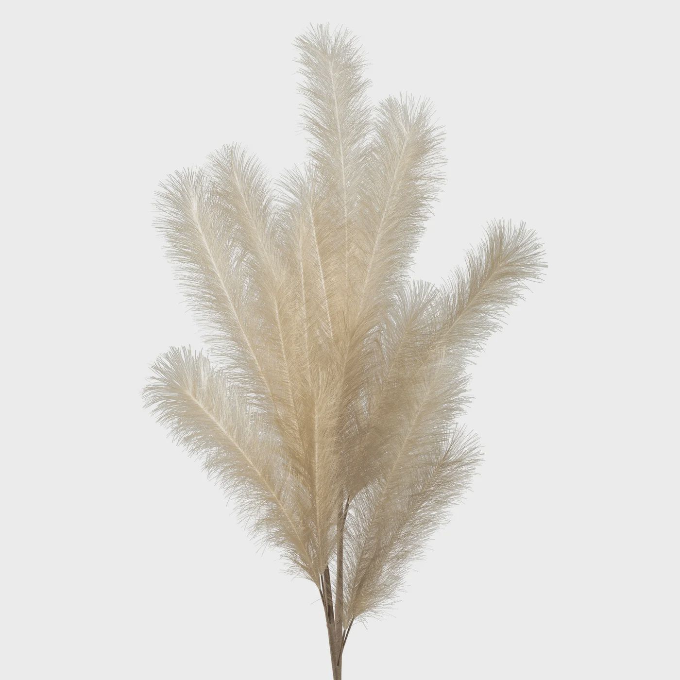 Pampas Stem-Cream