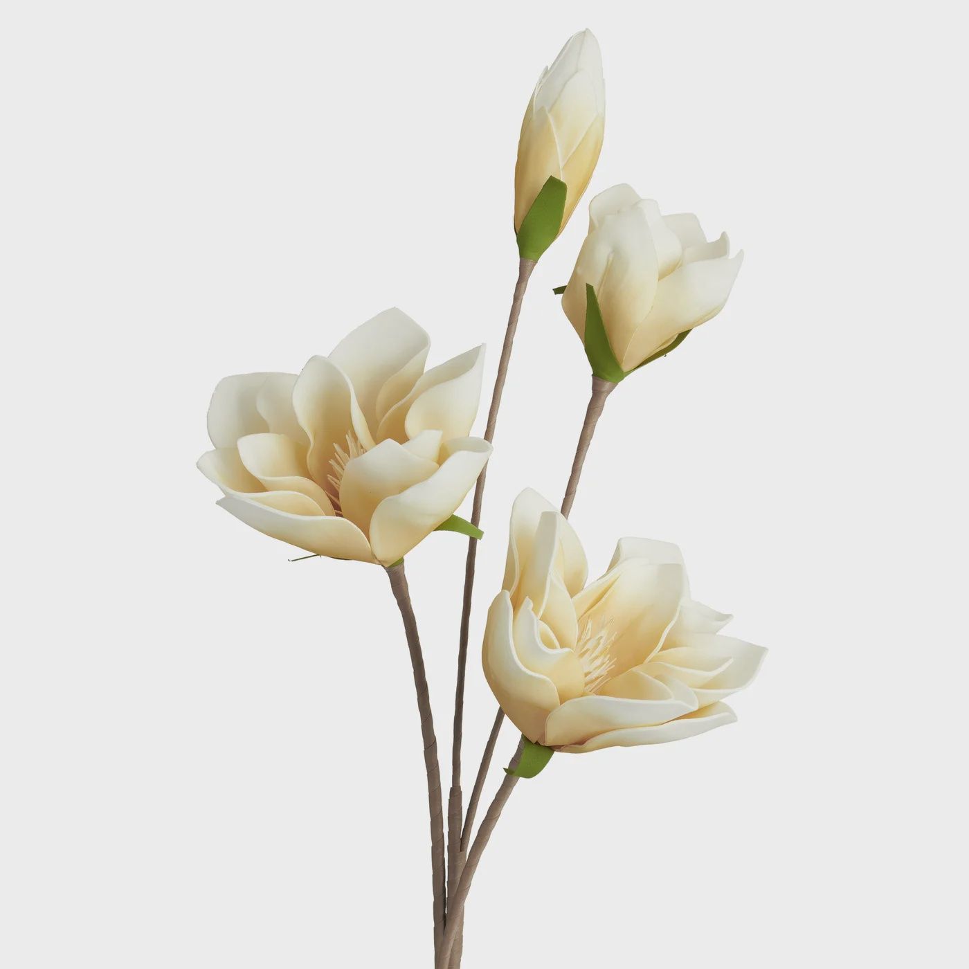 Desert Four Bloom Magnolia 41L&quot; Stem - Yellow