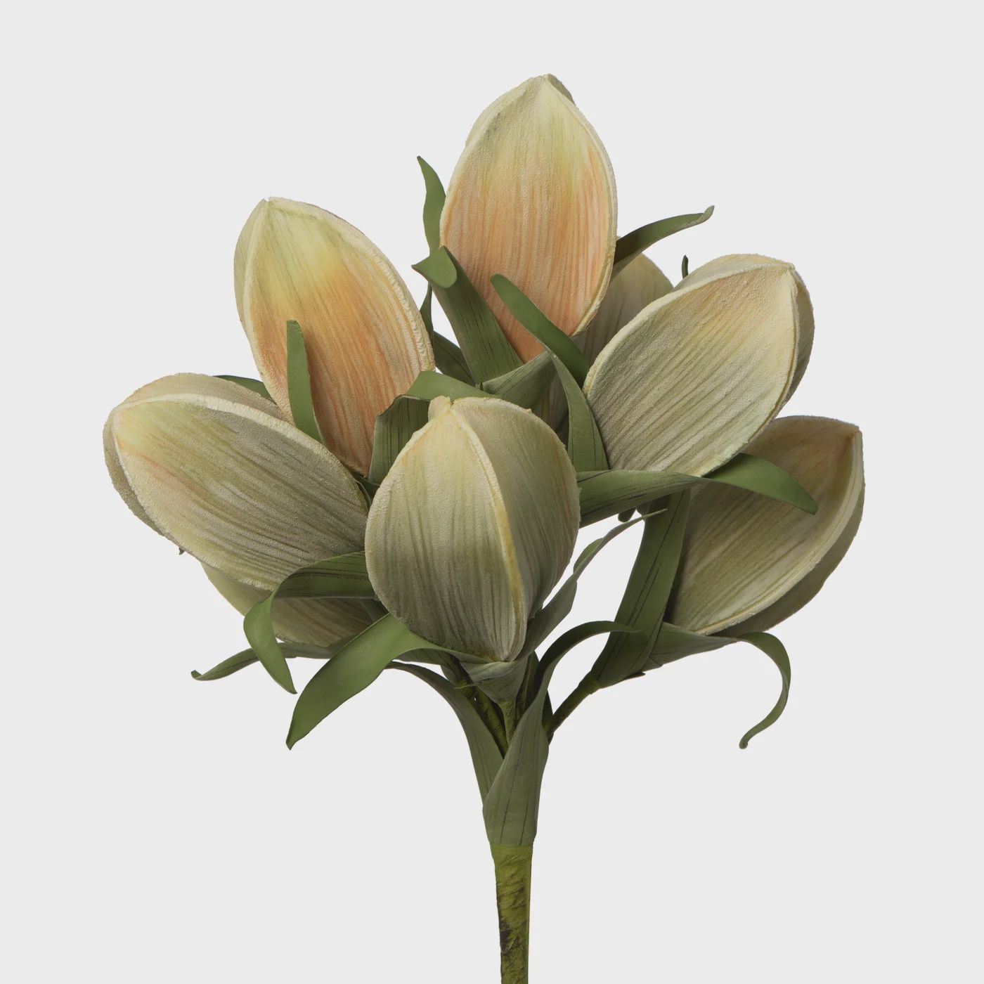 Desert Multi Pod Bouquet 31L&quot; Stem - Peach