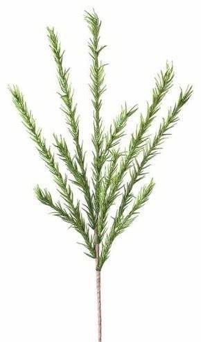 Desert Pine Stem - Green