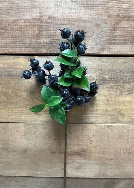 11&quot; Blueberry Stems