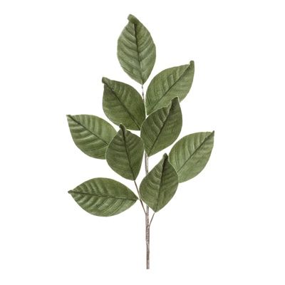 Magnolia Leaf Spray 27.5&quot;H
