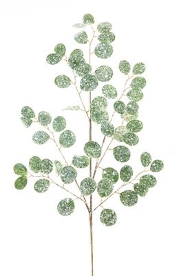 Silver Dollar Spray 32&quot;H
