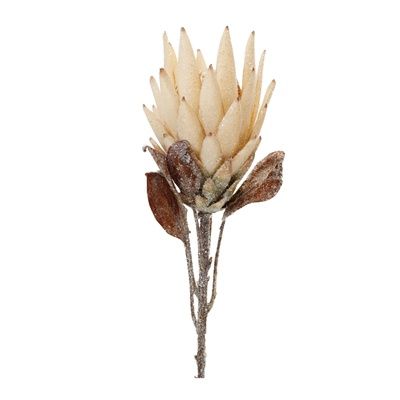 Protea Stem 29&quot;H- Beige