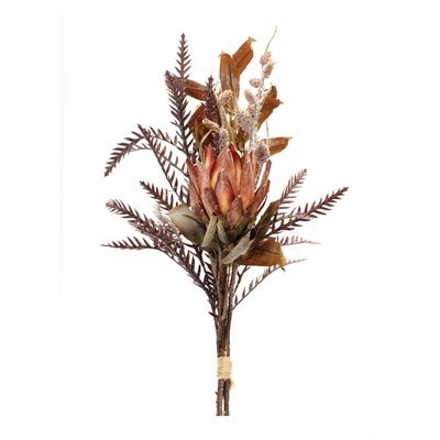 Mixed Protea Bundle 33&quot;H
