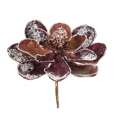 Magnolia Stem 19&quot;H