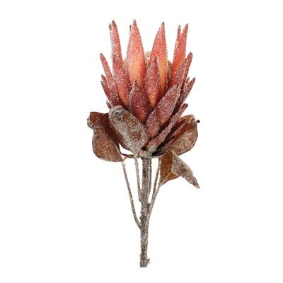 Protea Stem- 29&quot; H