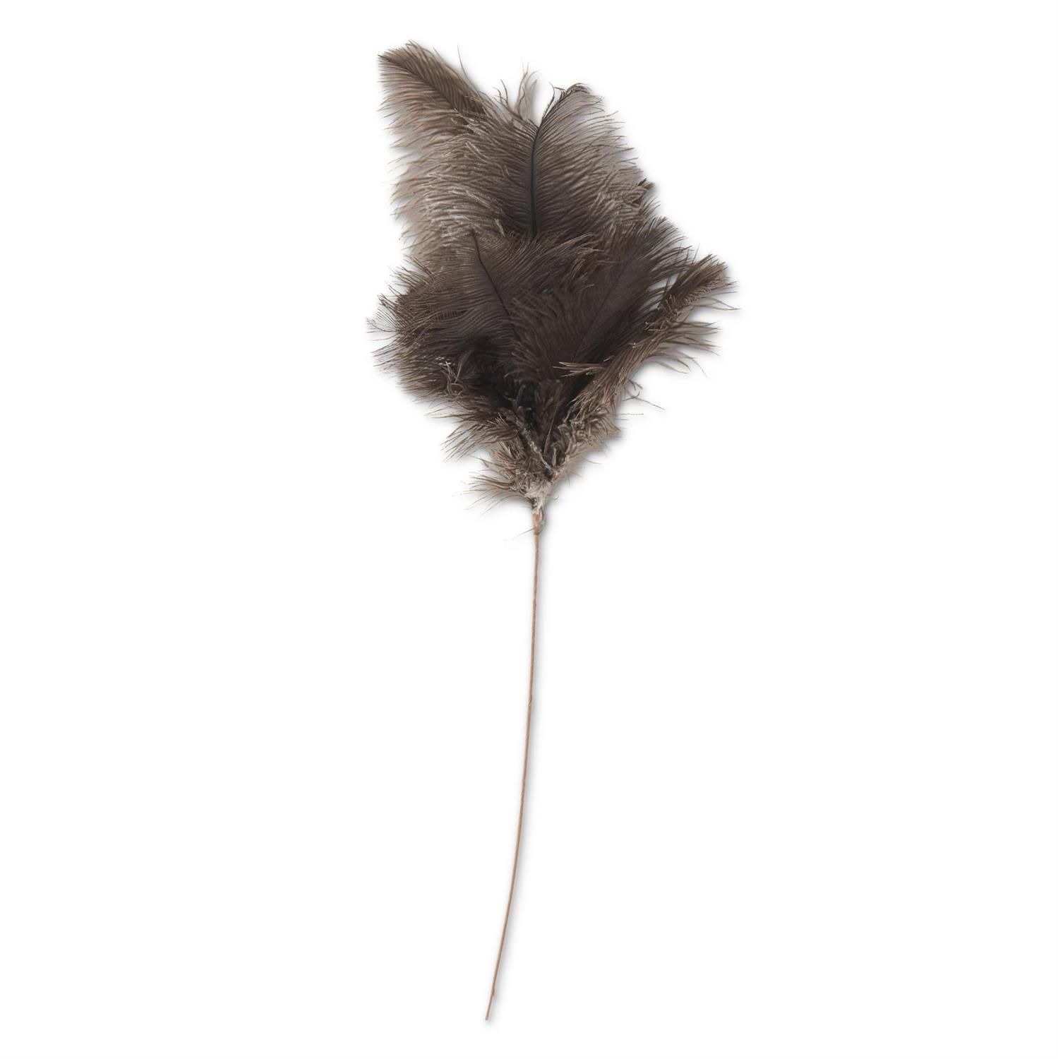 Brown Feather Spray 22&quot;
