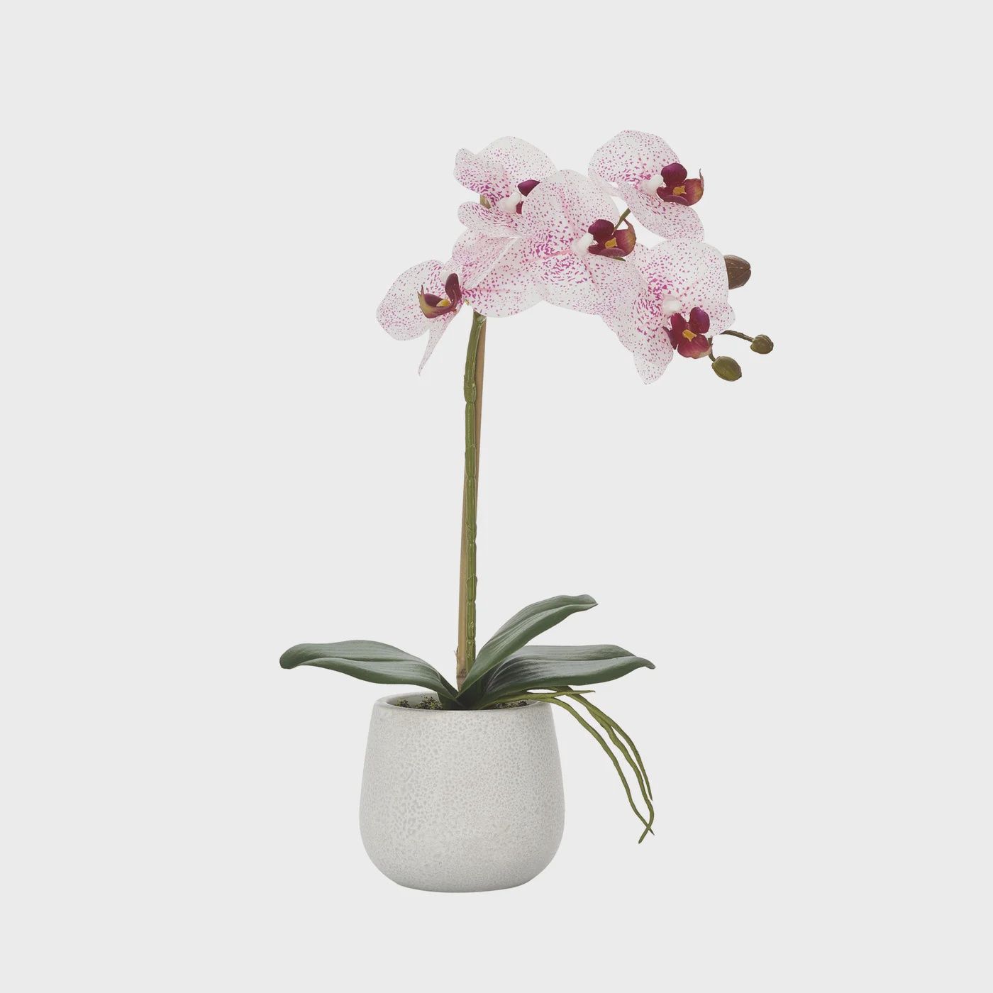 Phalaenopsis Potted 15&quot; Faux Single Stem Orchid - Pink