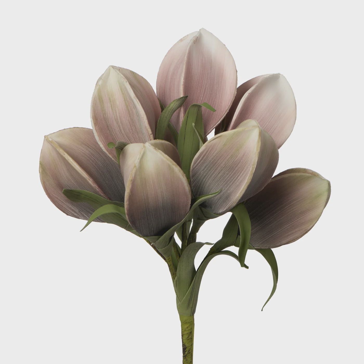 Desert Pinched Multi Pod Bouquet 31L&quot; Stem - Pink