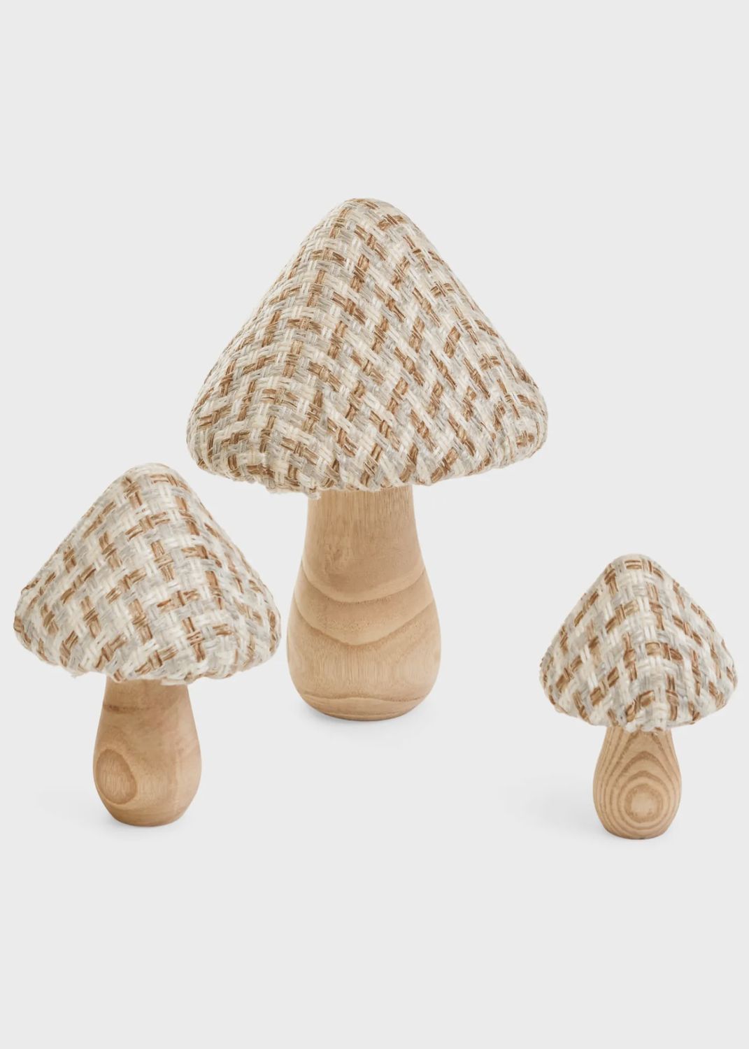 Mushroom Sm Foam/Wood Ecru/Beige 3x4