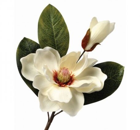 Magnolia &amp; Bud Pick 14&quot;