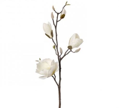 32&quot; Frosted Magnolia Spray Ivory