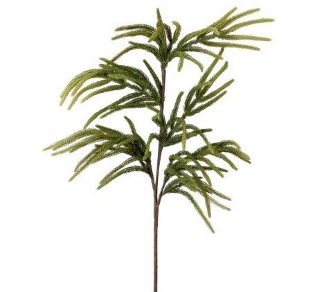 36&quot; Real Touch Norfolk Pine Spray