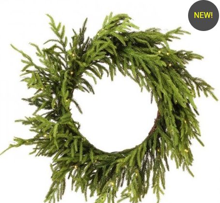 24&quot; LED Nat Touch Norfolk Pine Wreath