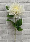 21&quot; White Fresh Touch Dahlia Spray