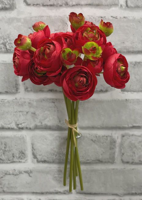 11&quot; Red Ranunculus - 6 Stem