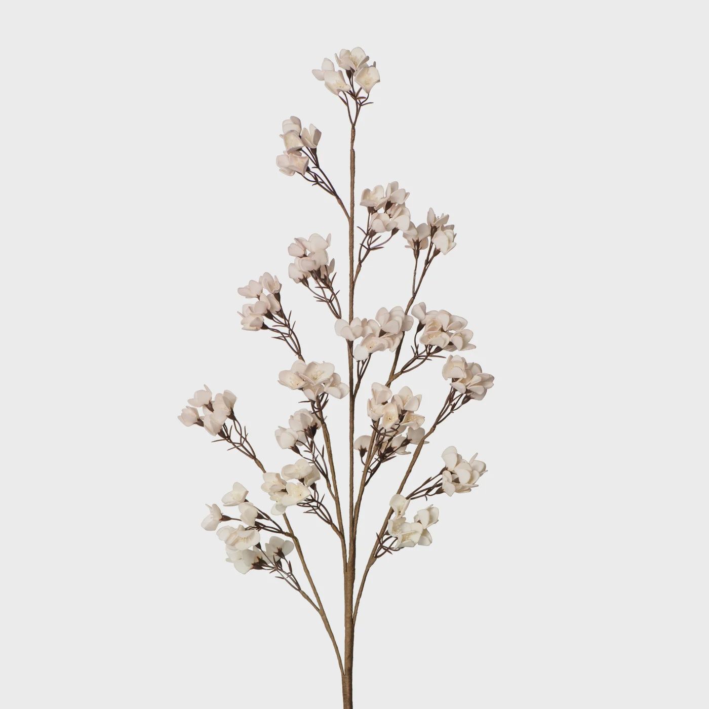 Desert Bloom 40L&quot; - Blush Pink / White