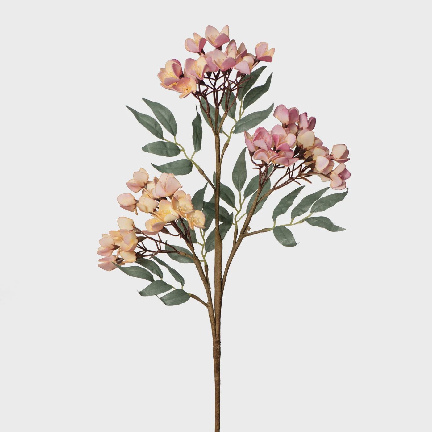 Desert 3 Cluster 30L&quot;  - Pink