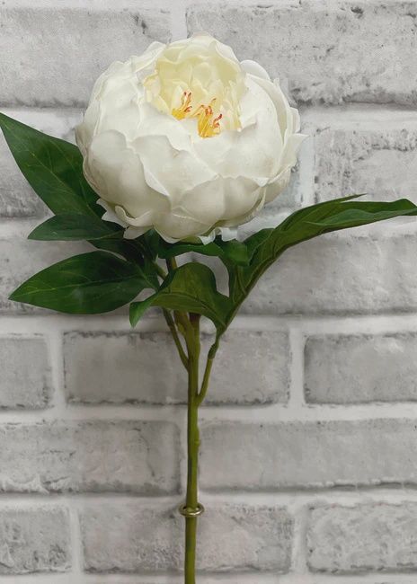 22.5&quot; White Fresh Touch Peony Spray
