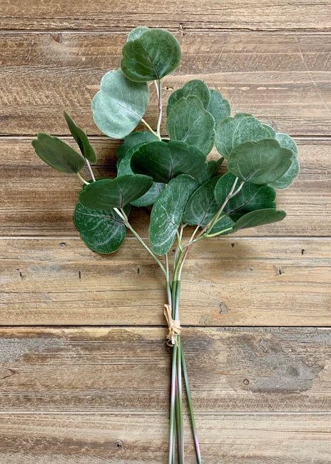 17&quot; Fresh Touch Silver Dollar Eucalyptus Bundle