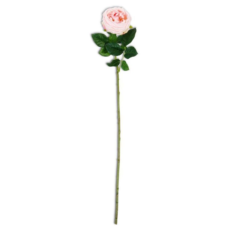 24&quot; Pink Real Touch Austin Rose Stem