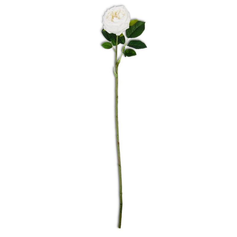 24&quot; White Real Touch Austin Rose Stem