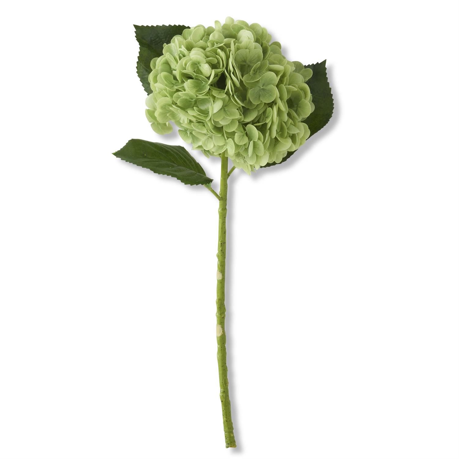 20&quot; Green Real Touch Hydrangea Stem