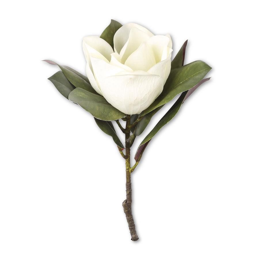 17&quot; White Magnolia Stem