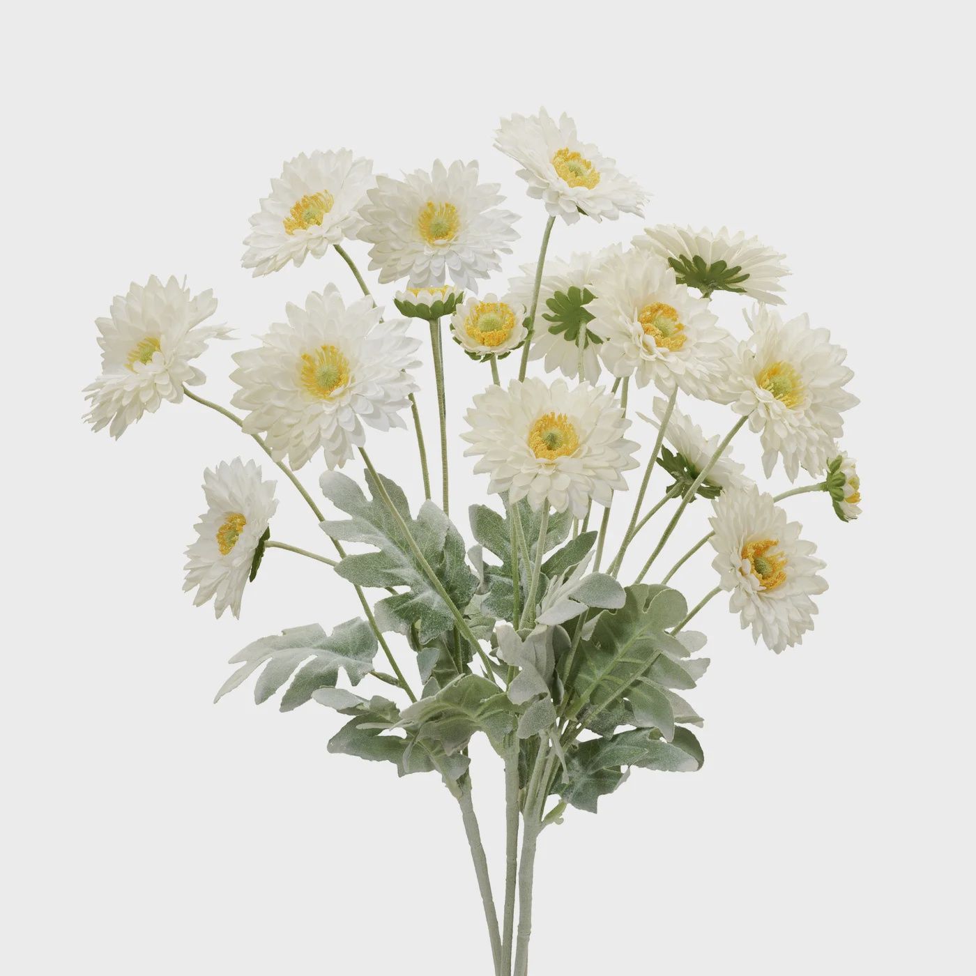 Daisy 4 Bloom 23L&quot; 4 Stem Bouquet - Cream